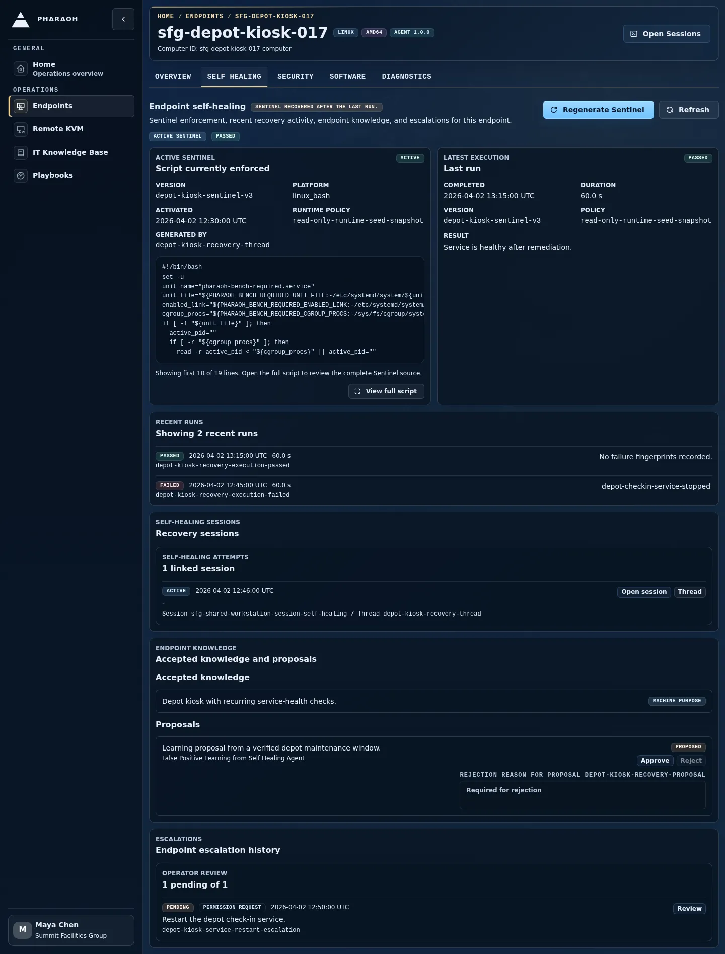 Endpoint detail page with Sentinel panel below the endpoint identity summary.