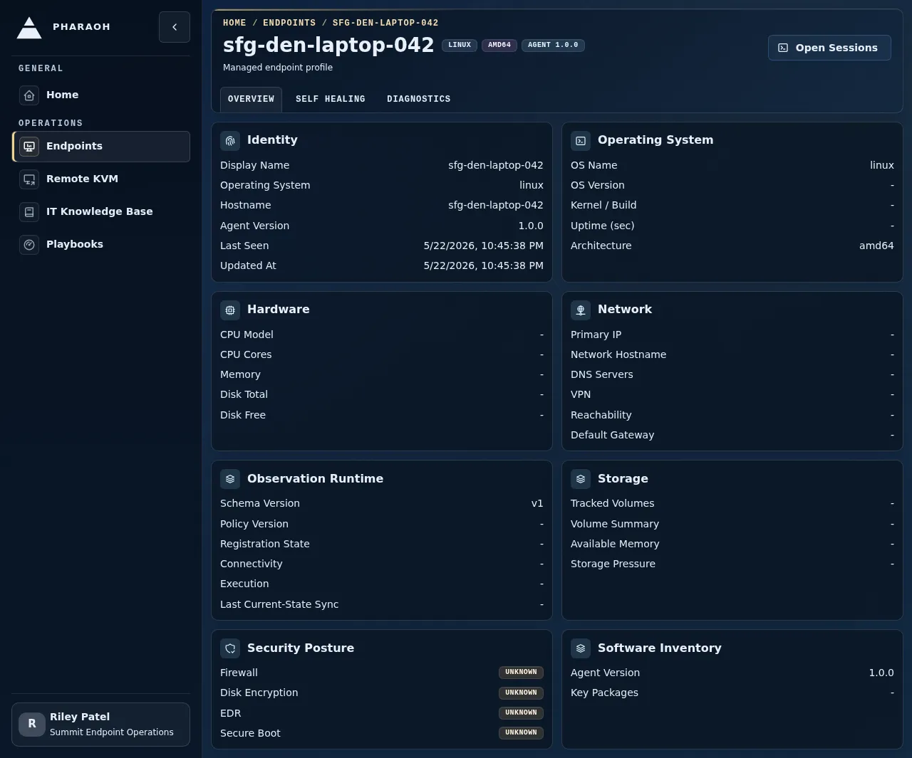 Endpoint details page with the Open Sessions handoff into the live investigation workspace.