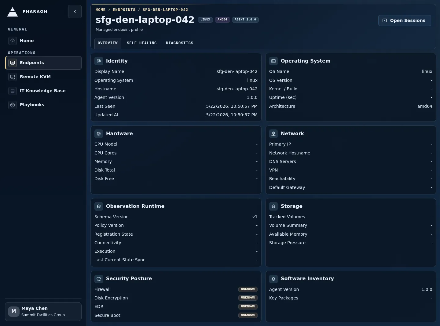 Endpoint details page showing endpoint identity, Last Seen context, Sentinel state, and the Open Sessions handoff.