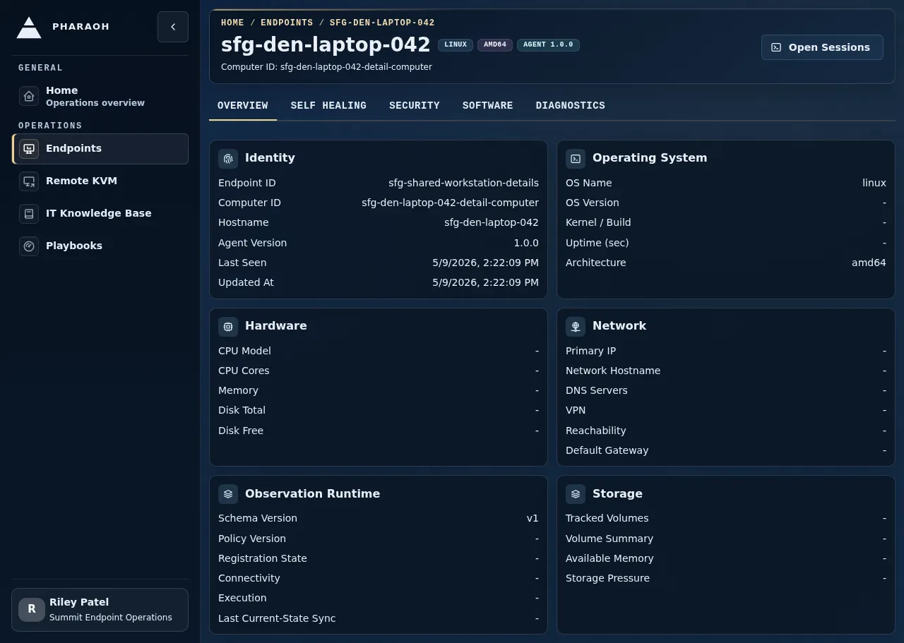 Endpoint details page with identity, Sentinel context, detail tabs, and the Open Sessions handoff.