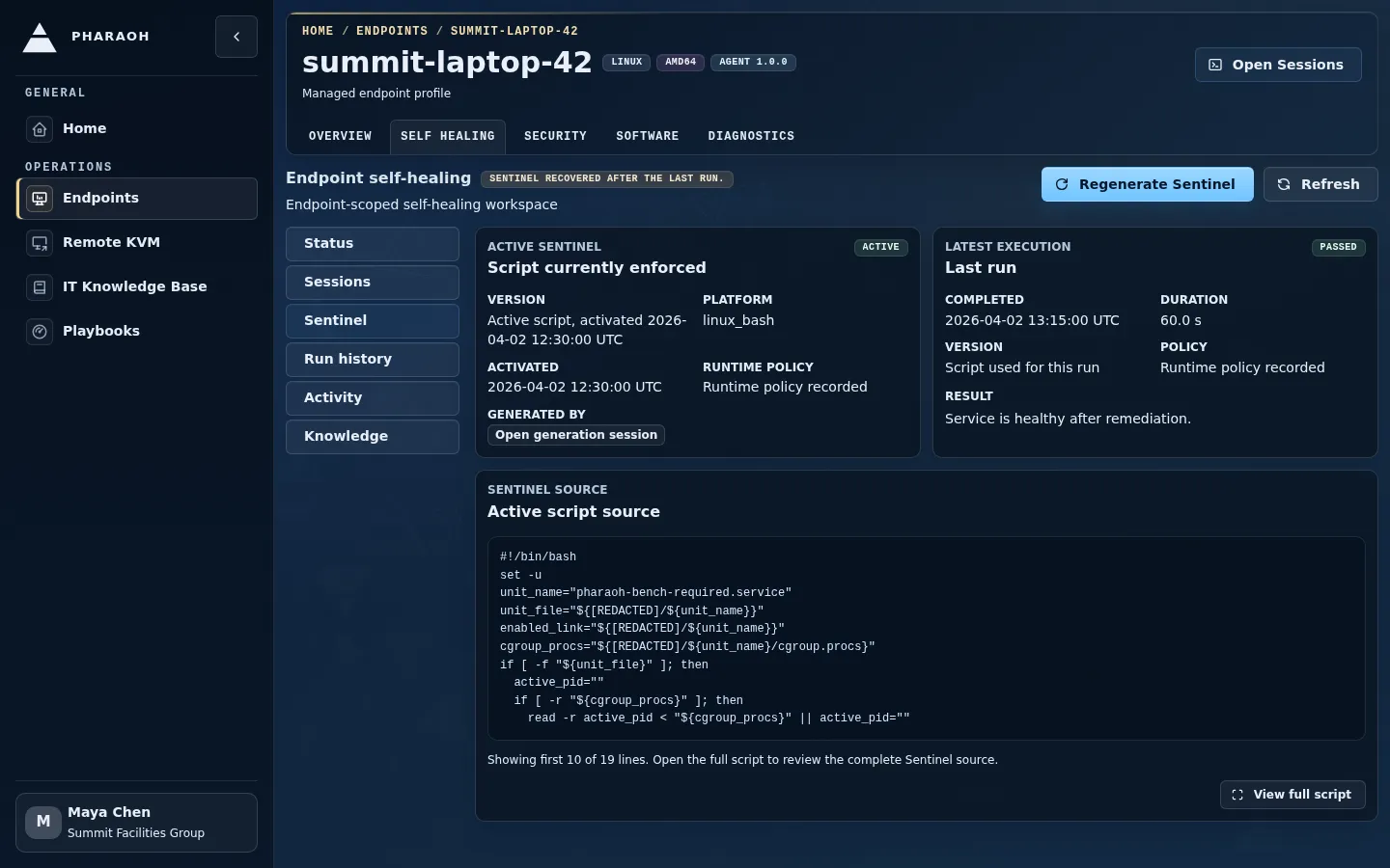 Endpoint self-healing Sentinel tab showing active Sentinel version and latest execution status.