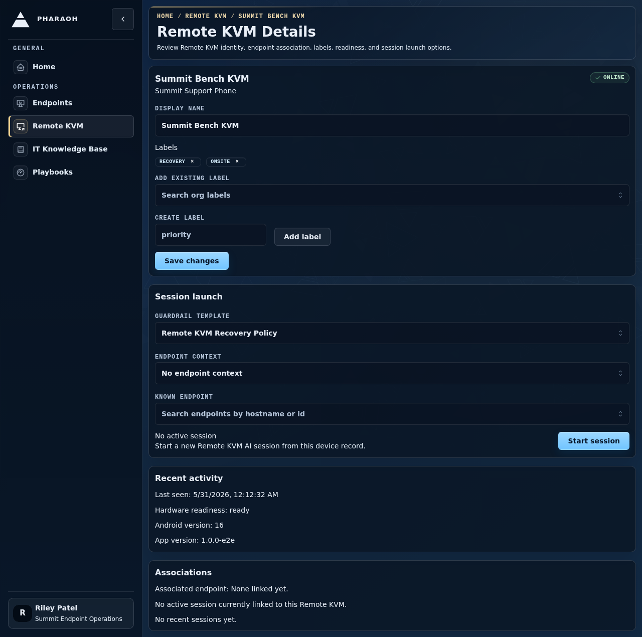 Remote KVM detail management page with labels and session launch controls