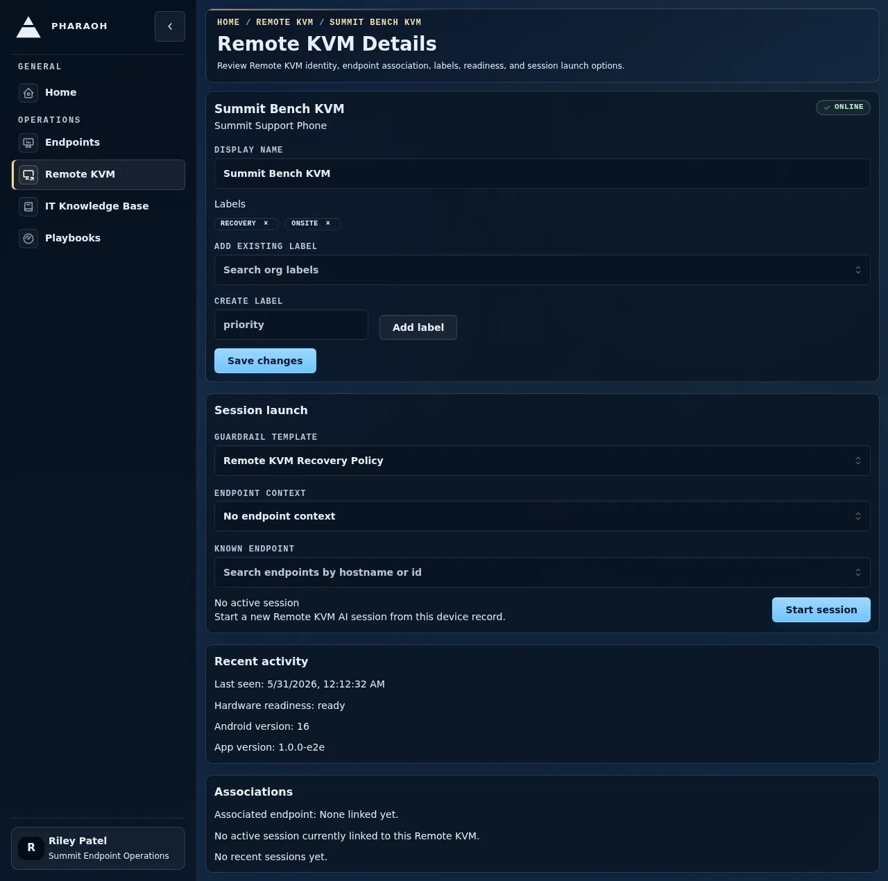 Remote KVM detail management page with labels and session launch controls.