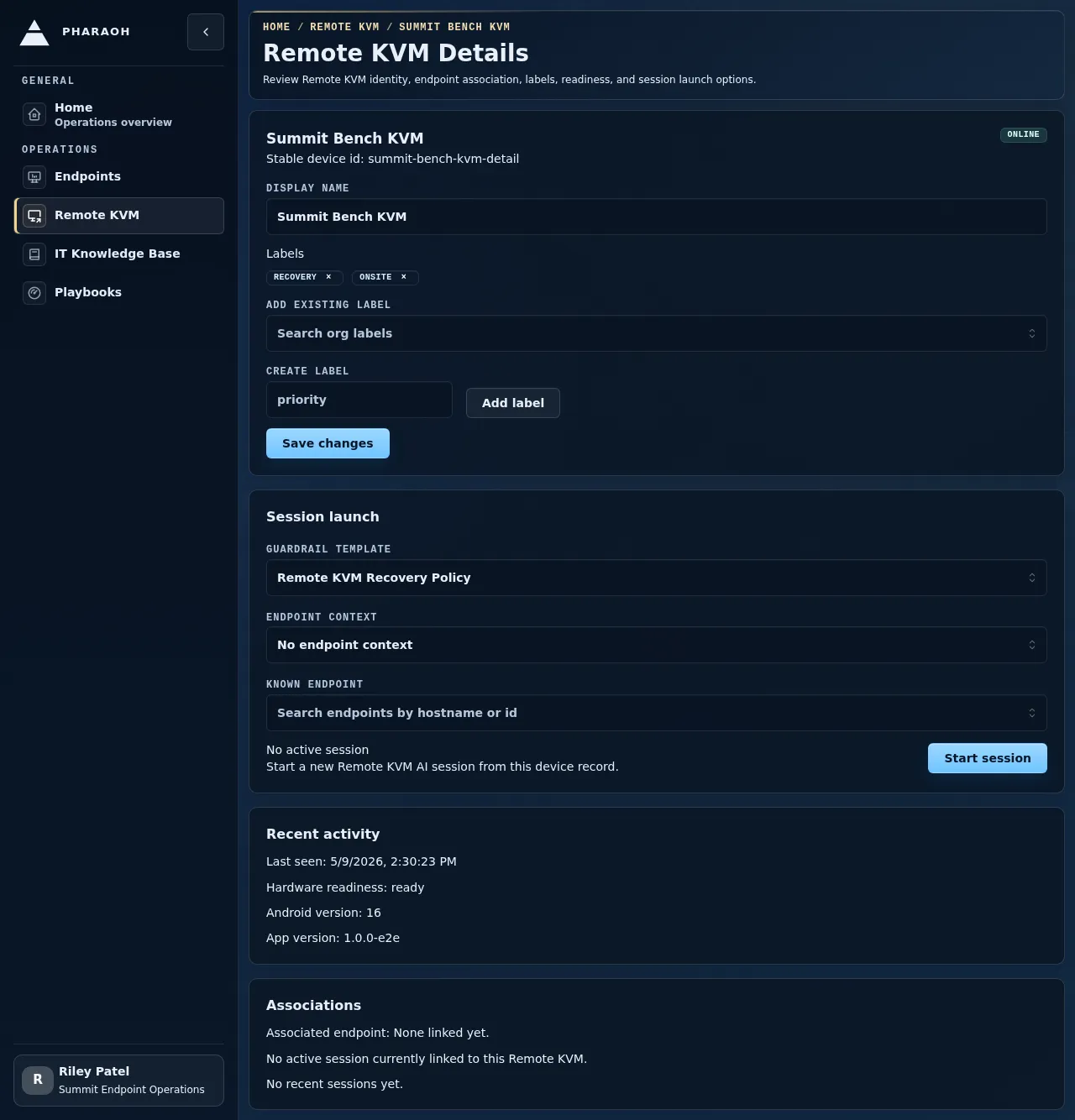 Remote KVM detail management page with labels and session launch controls.